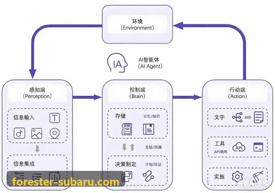 高星酒店会员权益与房型升级深度剖析
